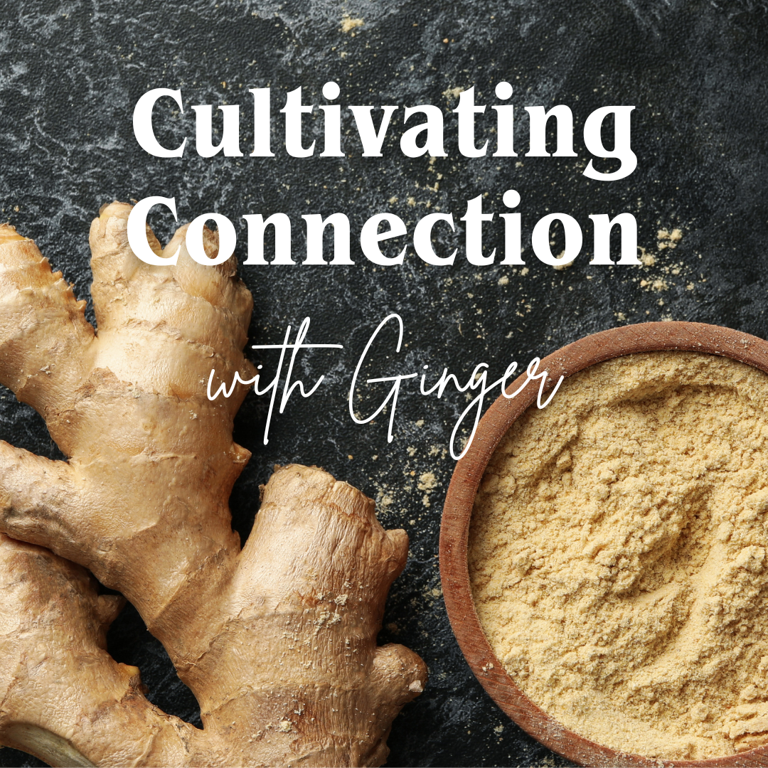 Cultivating Connection with Ginger