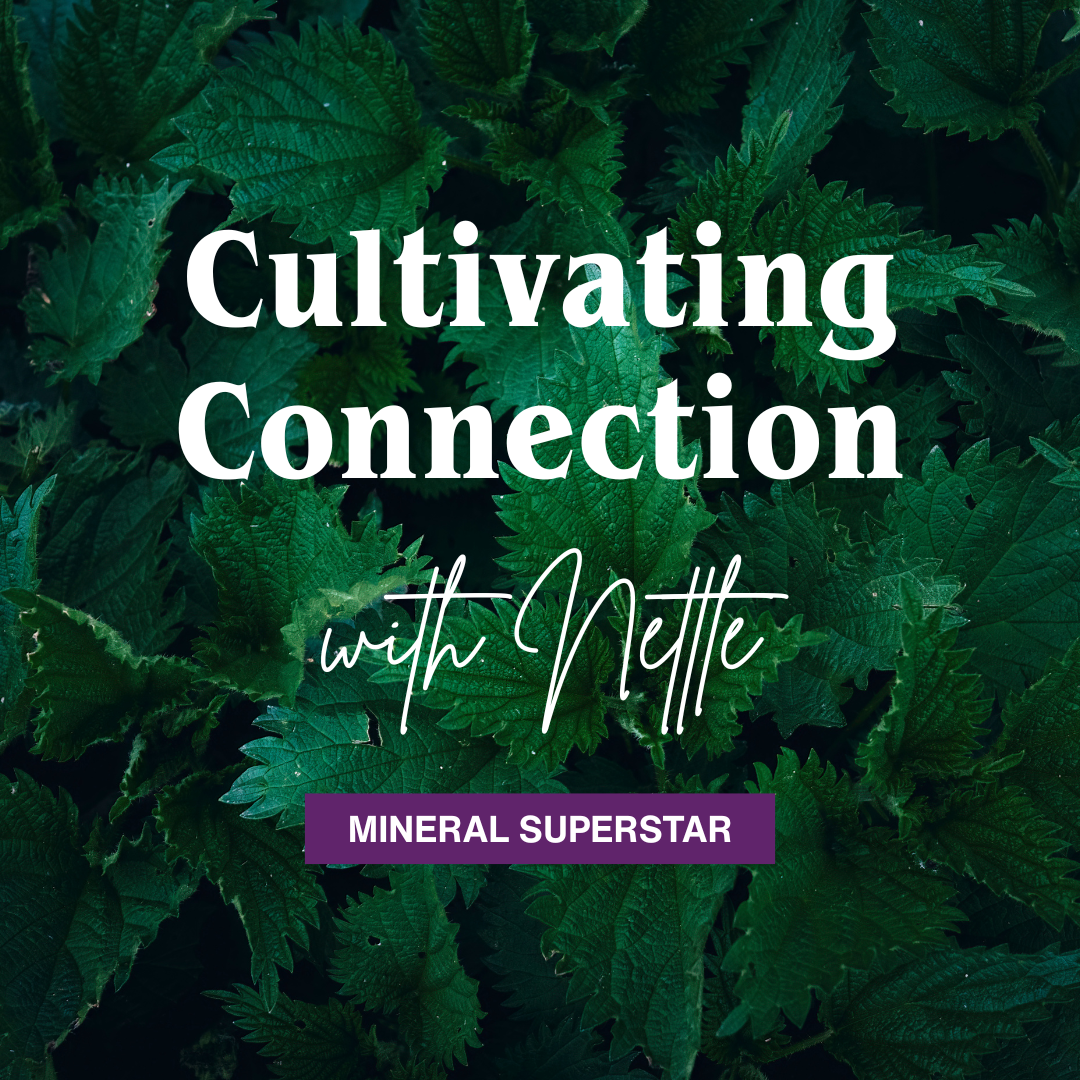 Cultivating Connection with Nettle