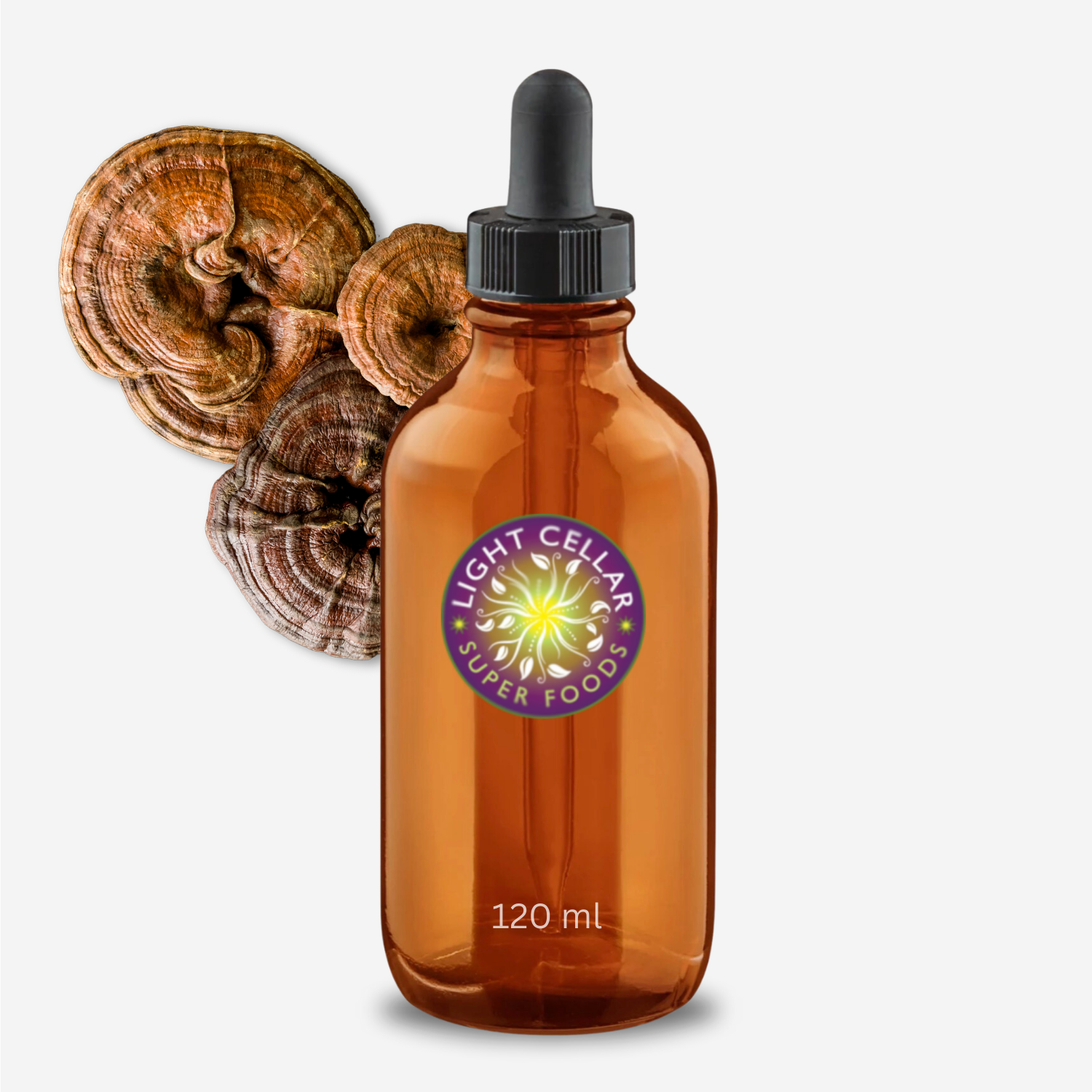 Reishi 42 Dual Extract tincture