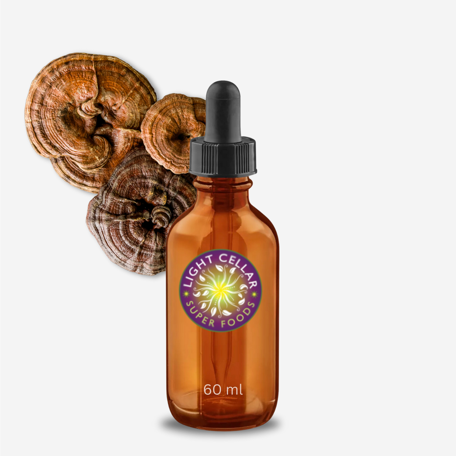 Reishi 42 Dual Extract tincture