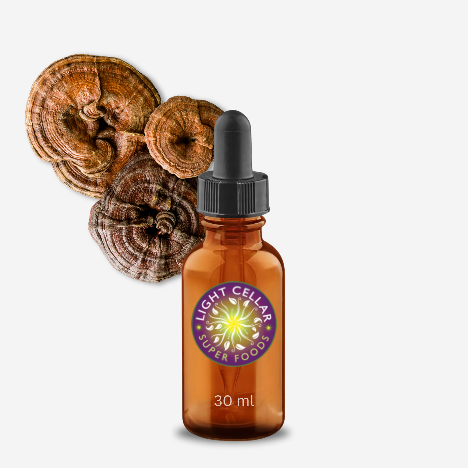 Reishi 42 Dual Extract tincture