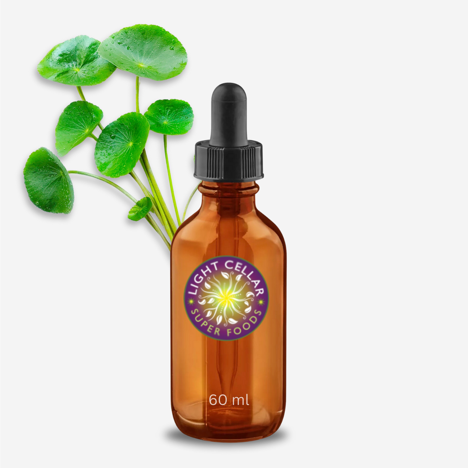 Gotu Kola tincture