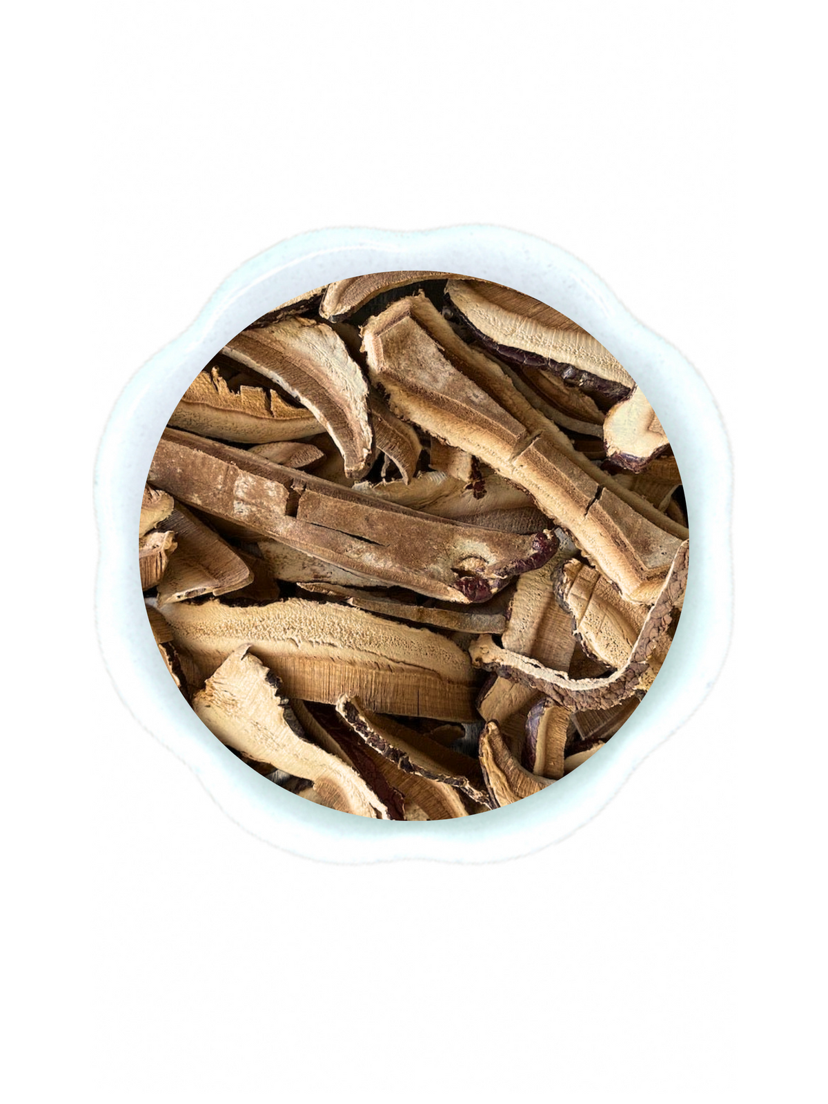 Wild Canadian Reishi Slices