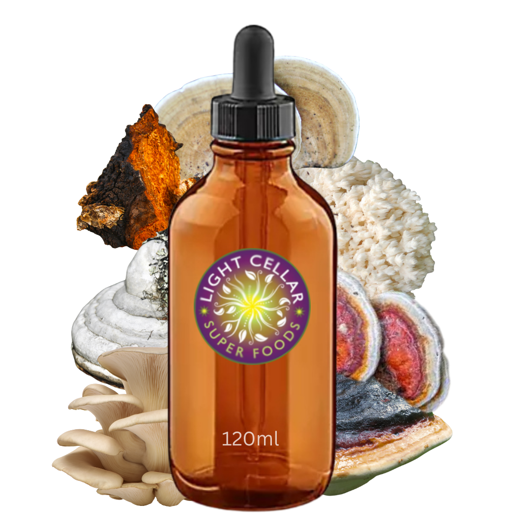 Medicinal Mushrooms of Alberta tincture