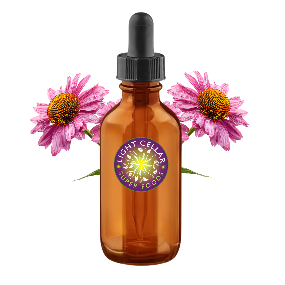 Echinacea Tincture