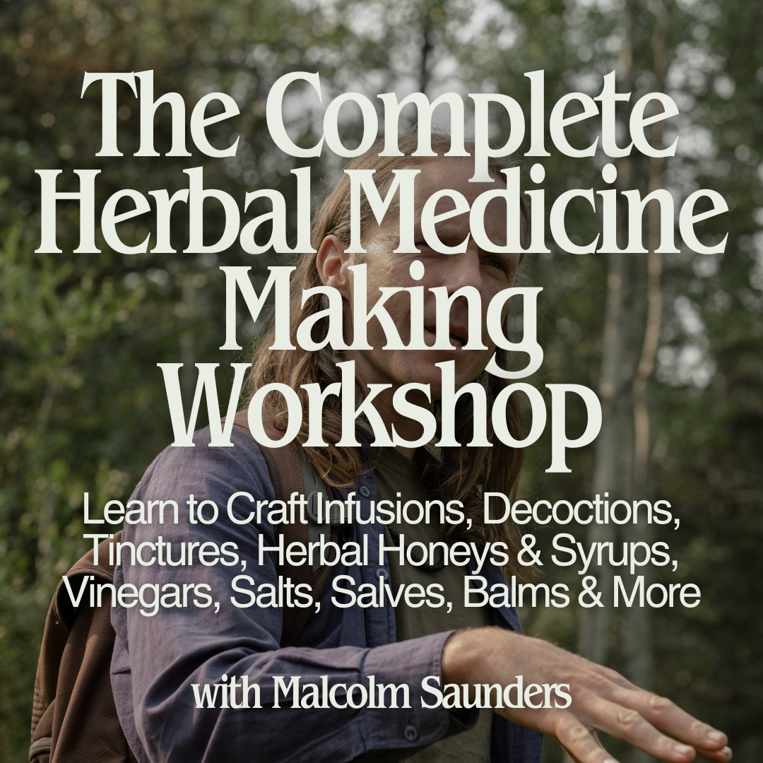 The Complete Herbal Medicine Making Workshop - Nov 15th