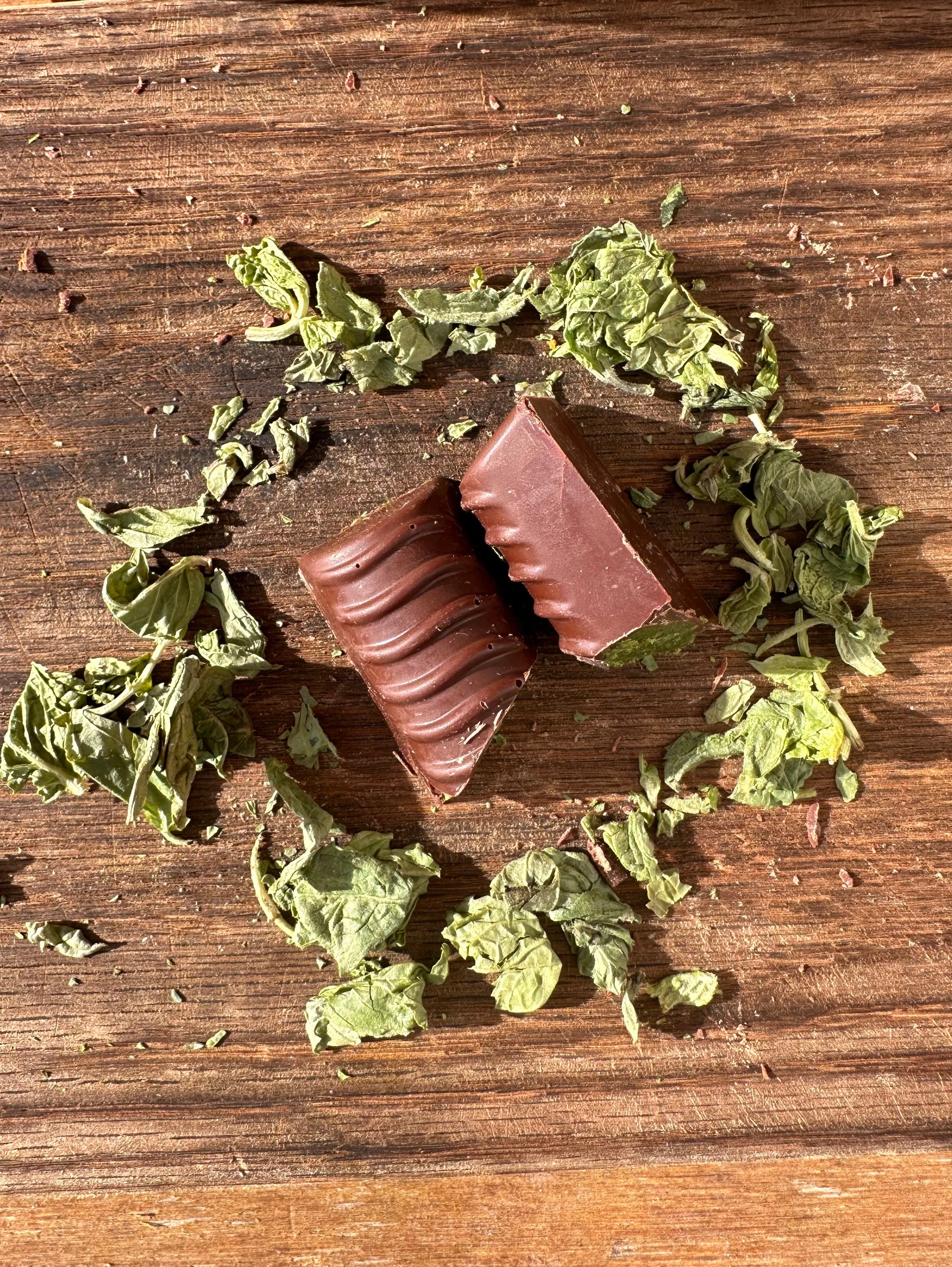 Mint Condition Chocolate Bar