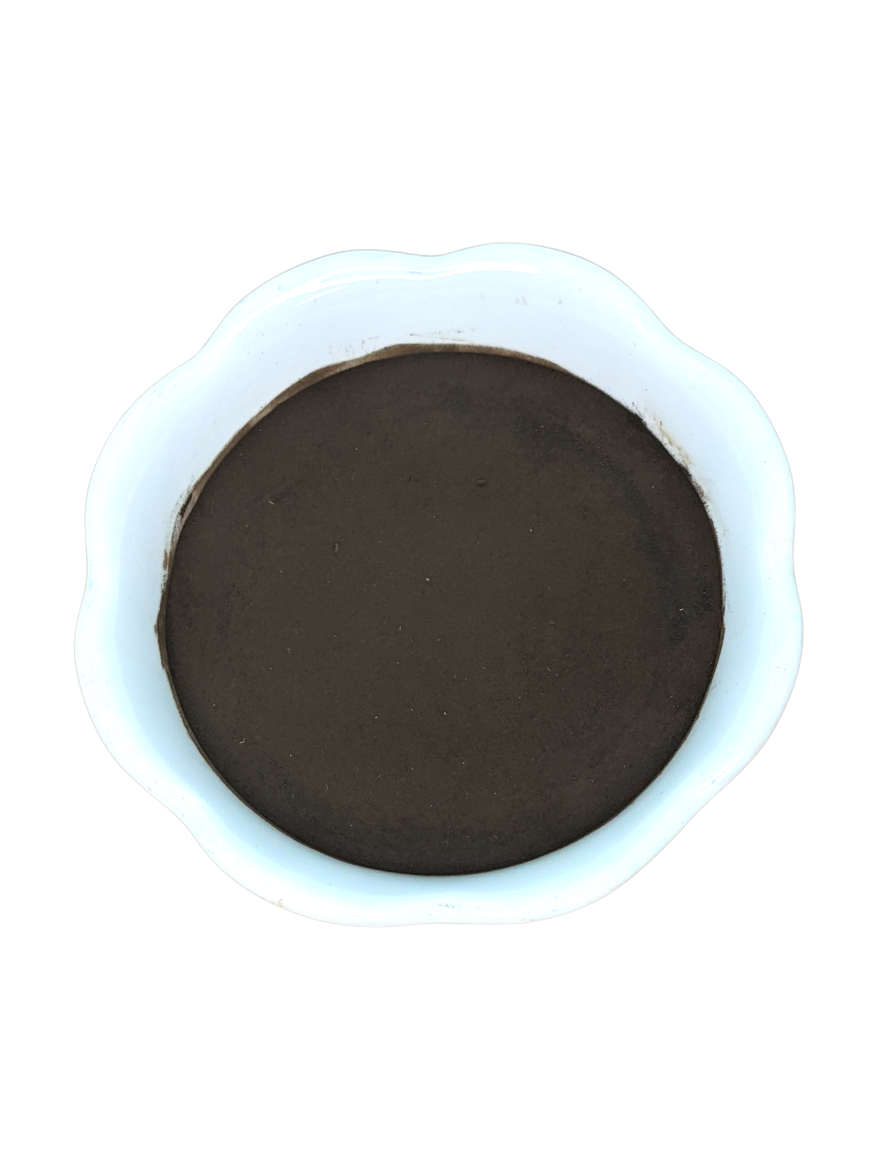 Shilajit Extract Powder