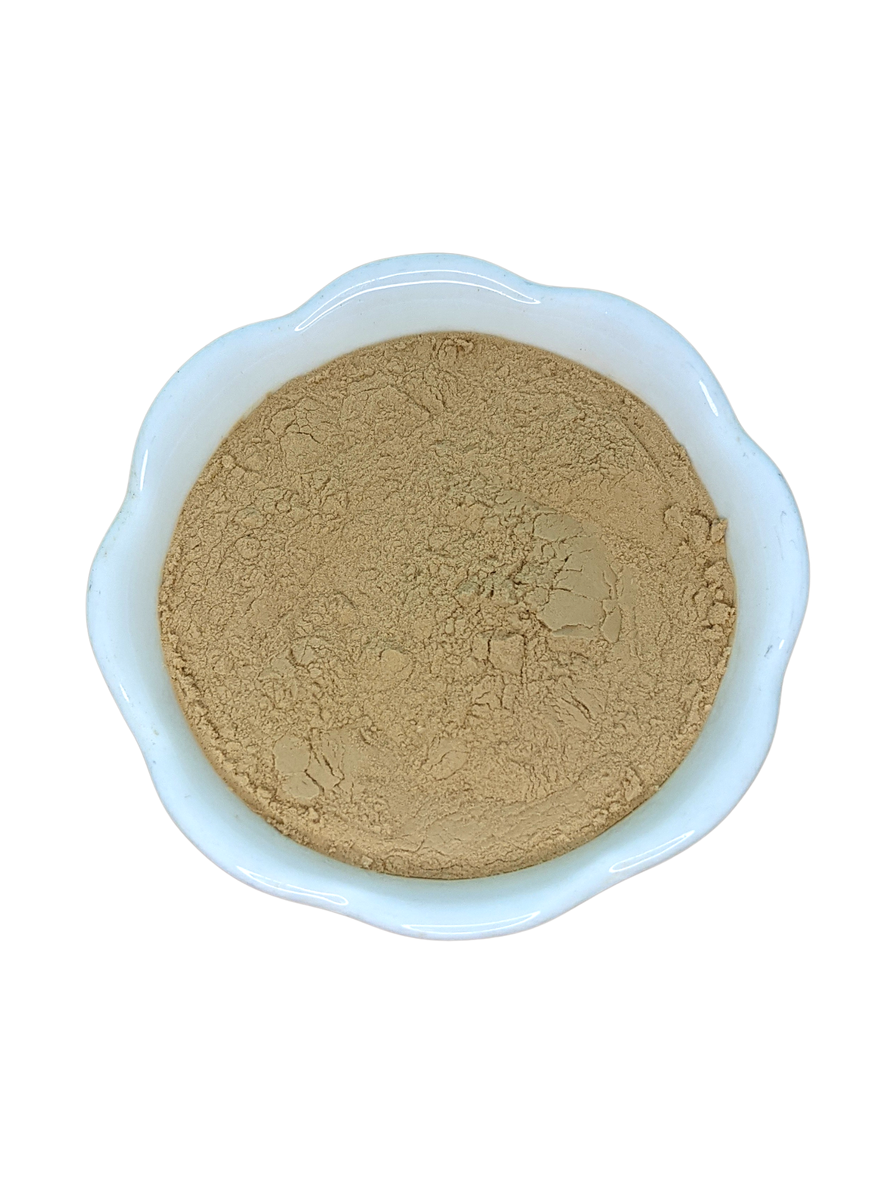 Maitake Extract