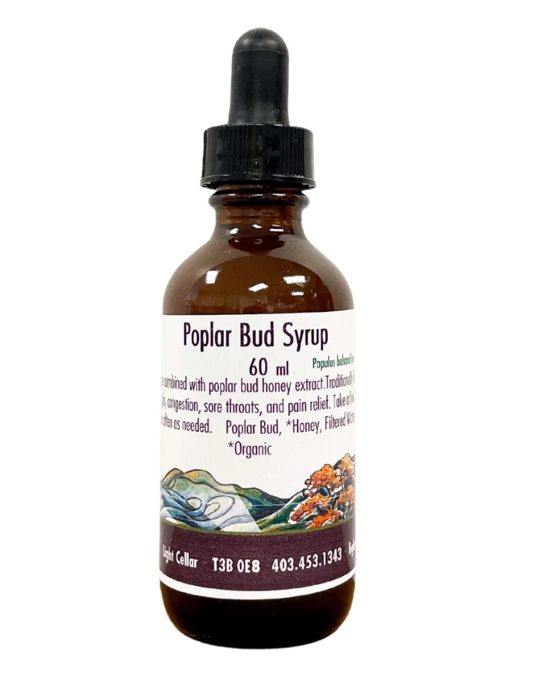 From Bud to Balm: the Complete Guide to Harvesting & Preparing Poplar Bud Medicine