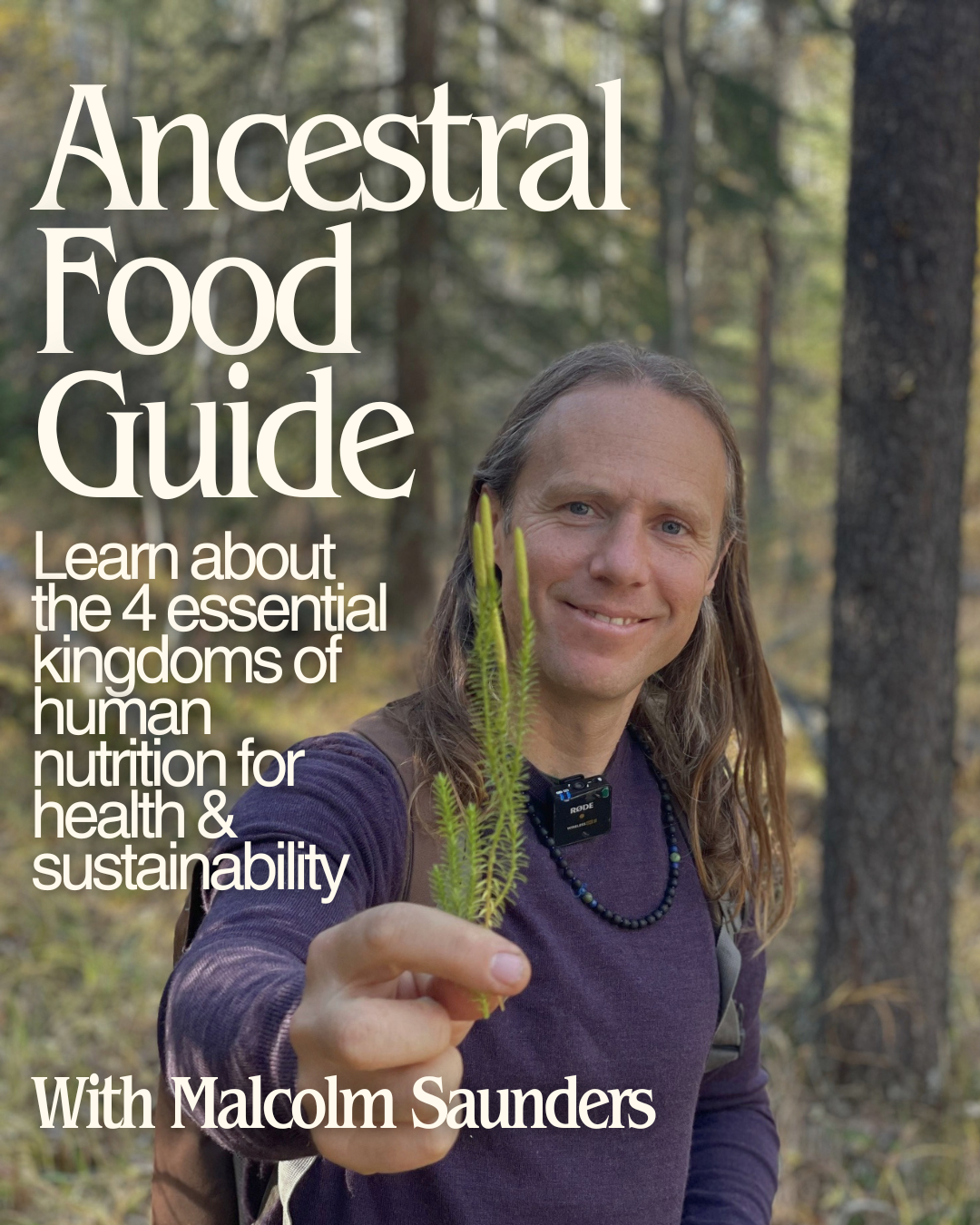 Ancestral Food Guide: The 4 Essential Kingdoms of Human Nutrition for Health & Sustainability with Malcolm Saunders
