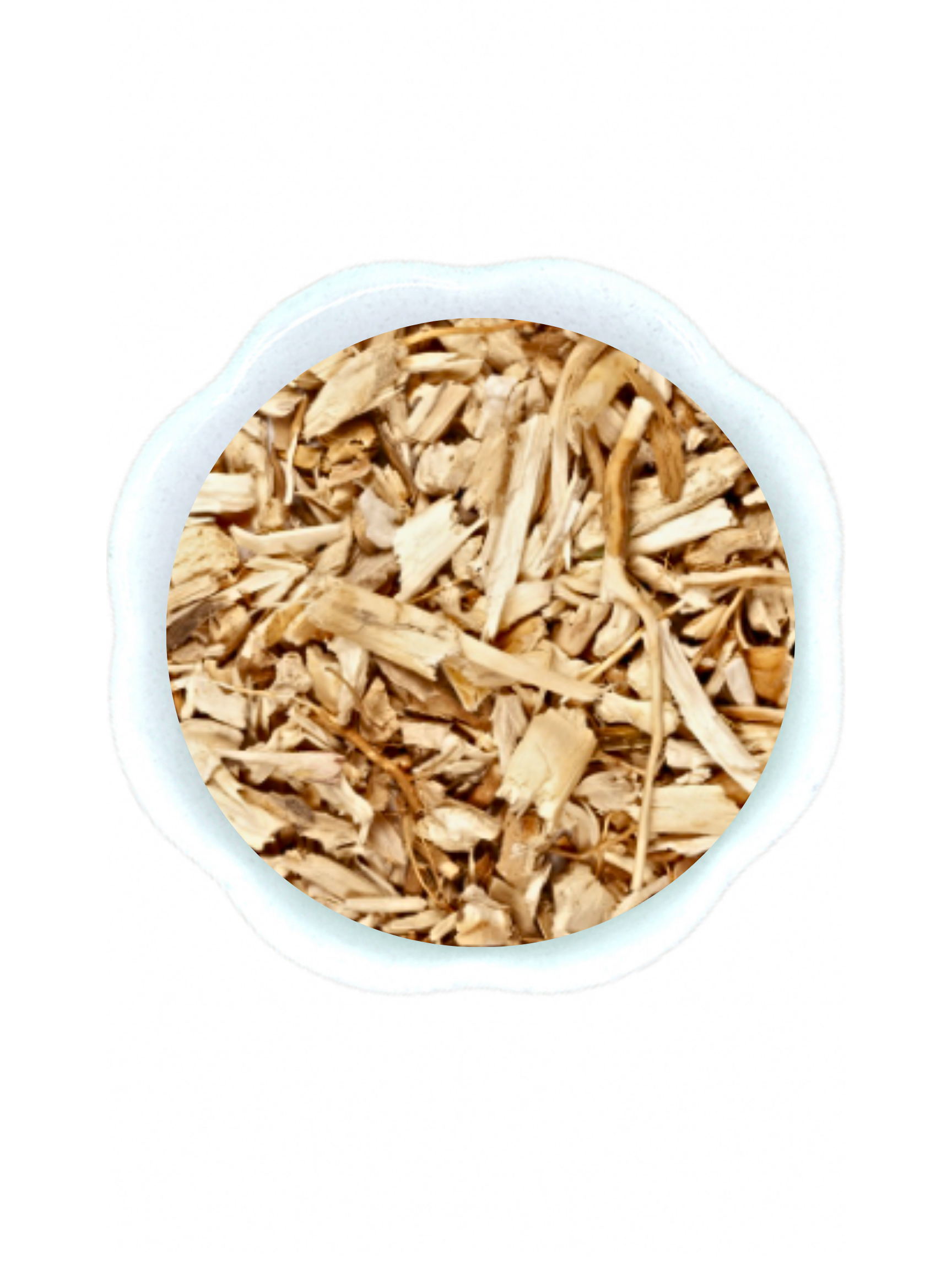Hydrangea Root