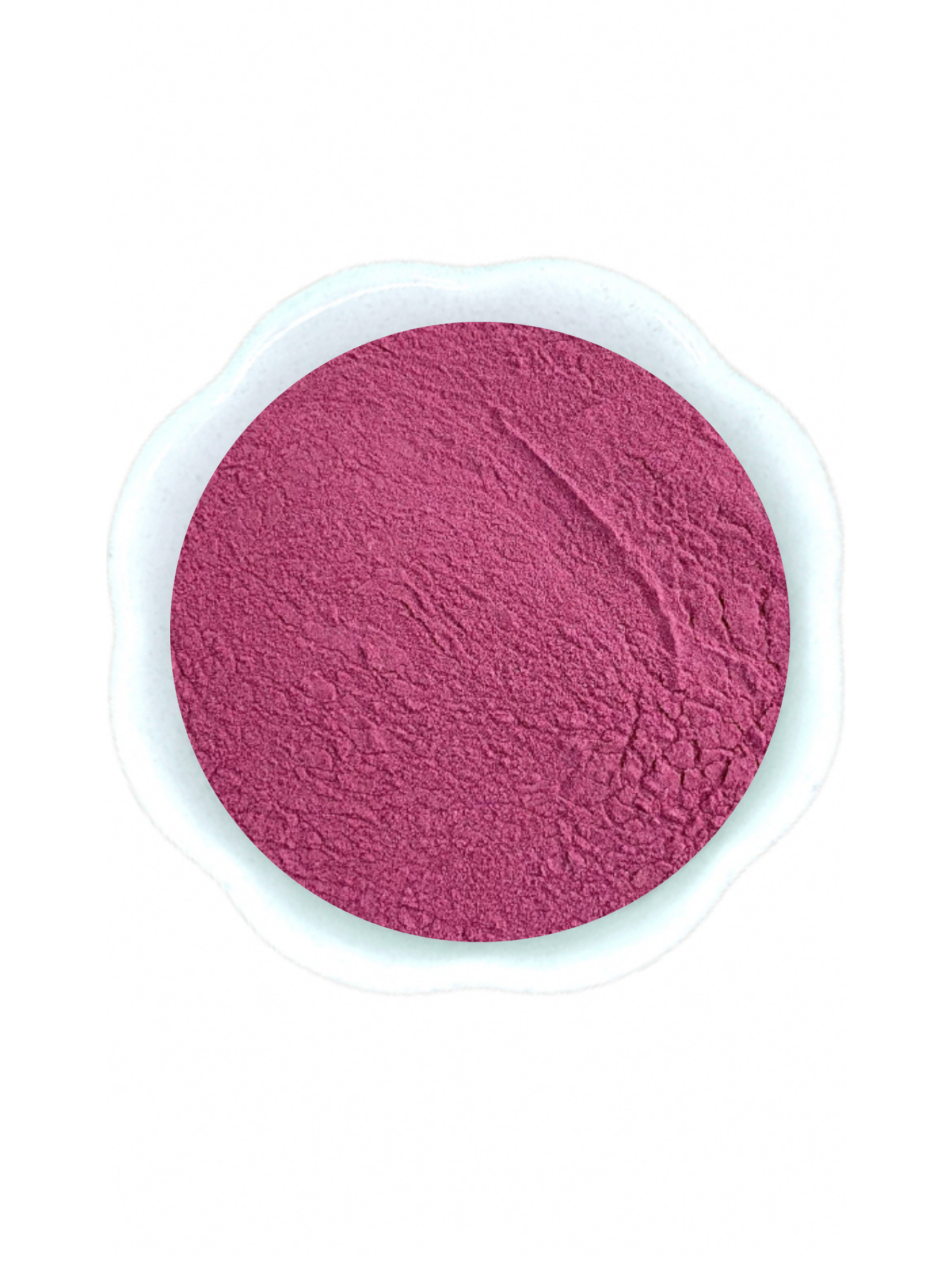 Elderberry Extract Powder