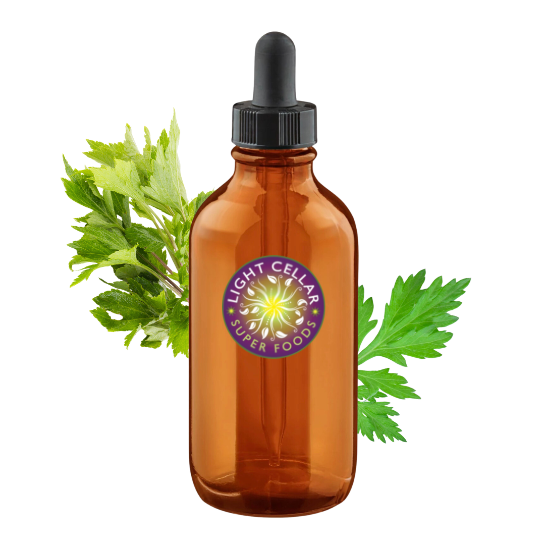 Fresh Mugwort Tincture