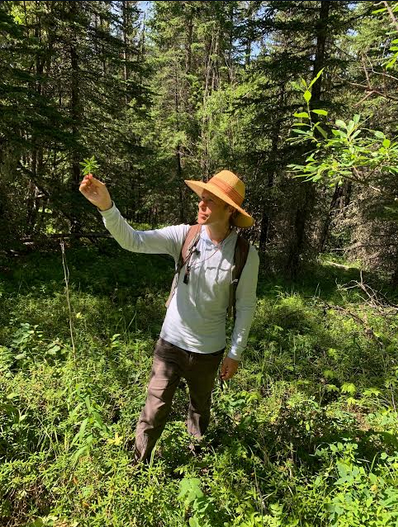 The Foraging Forecast: Be in the Know about What, When, Where & How to Forage - Internal use