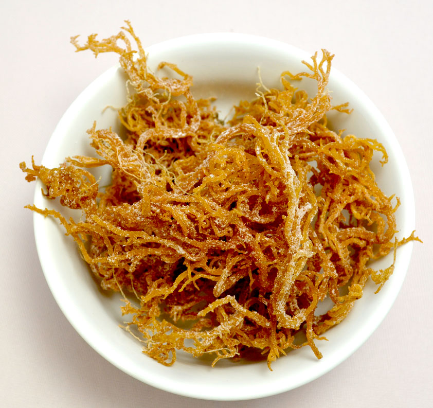 Irish Moss