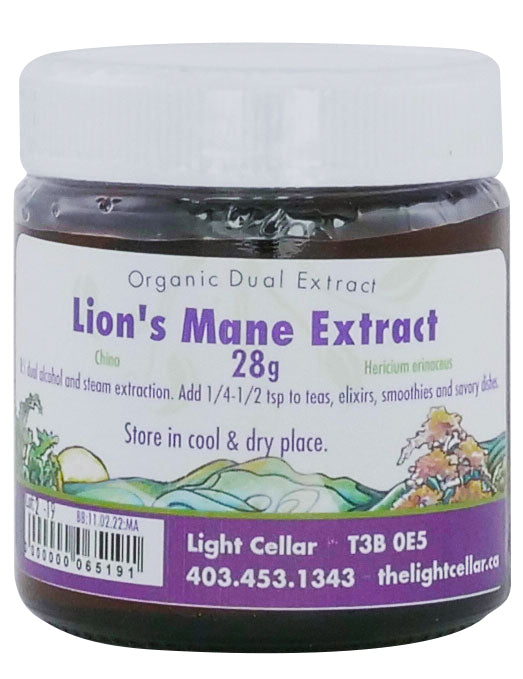 Lion's Mane Extract