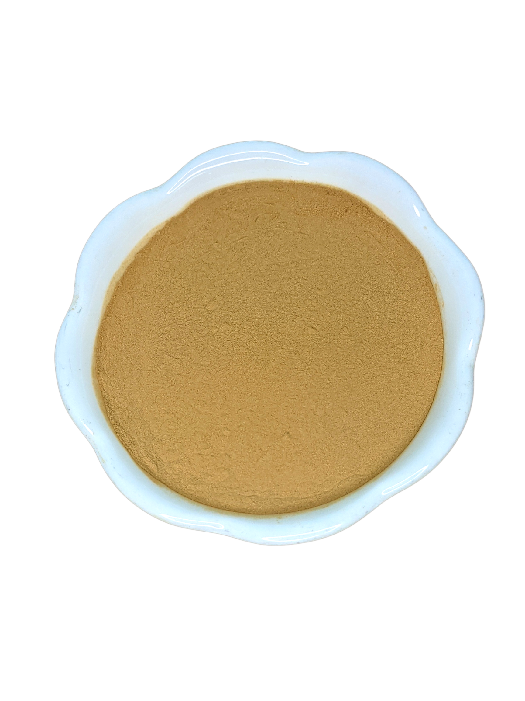 Cordyceps Extract