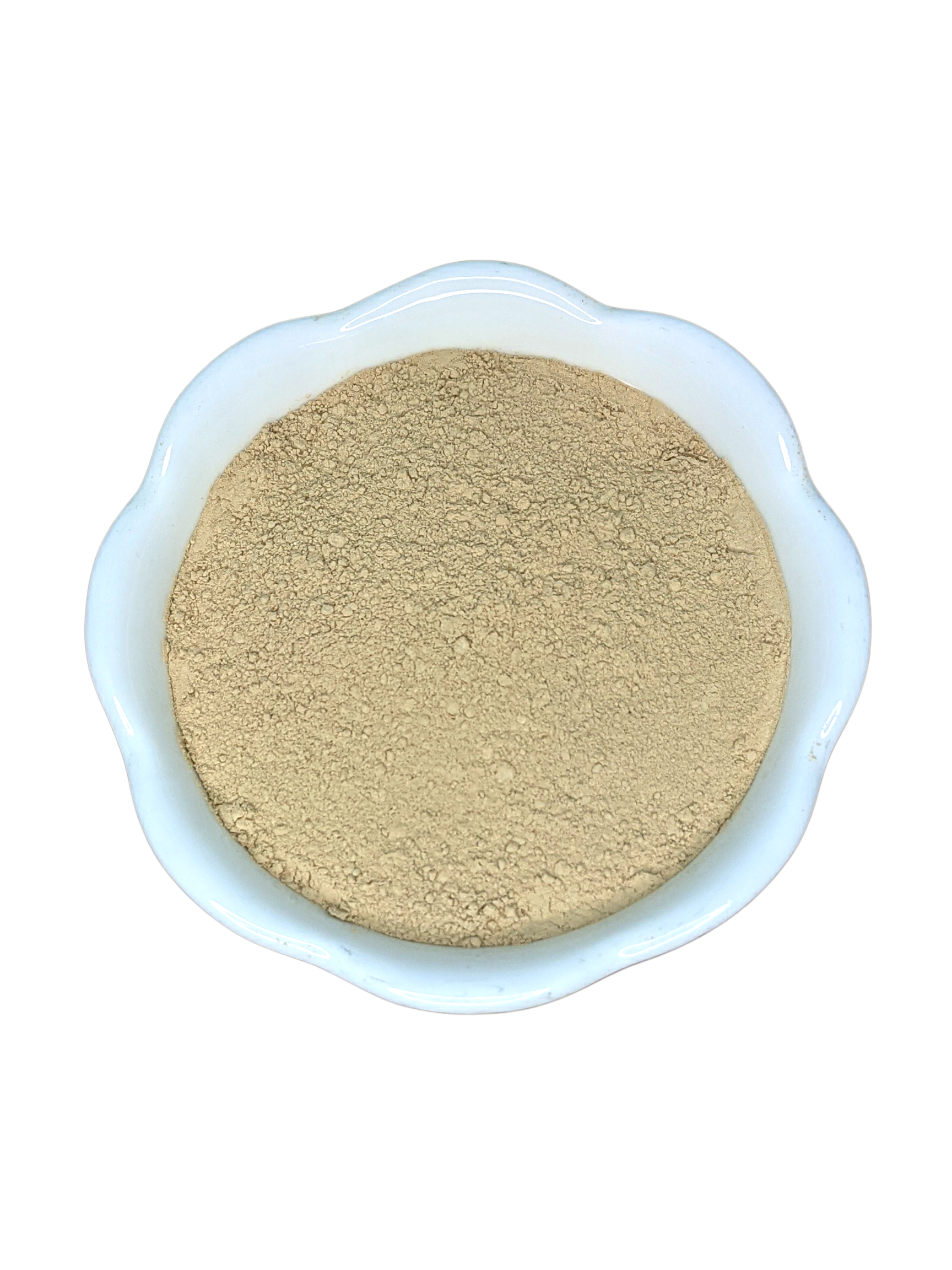 Oyster Mushroom Extract