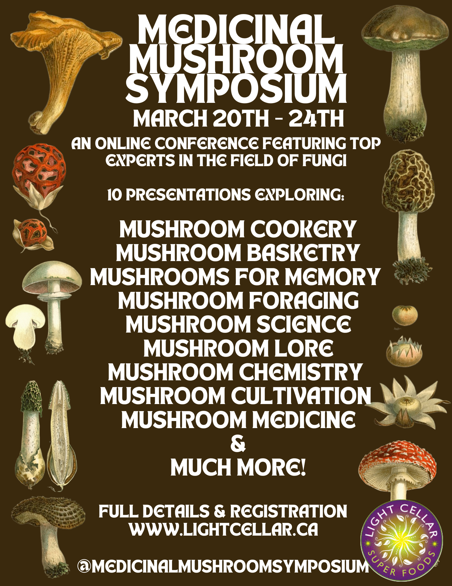 Medicinal Mushroom Symposium x 3: 2021, 2022, 2023