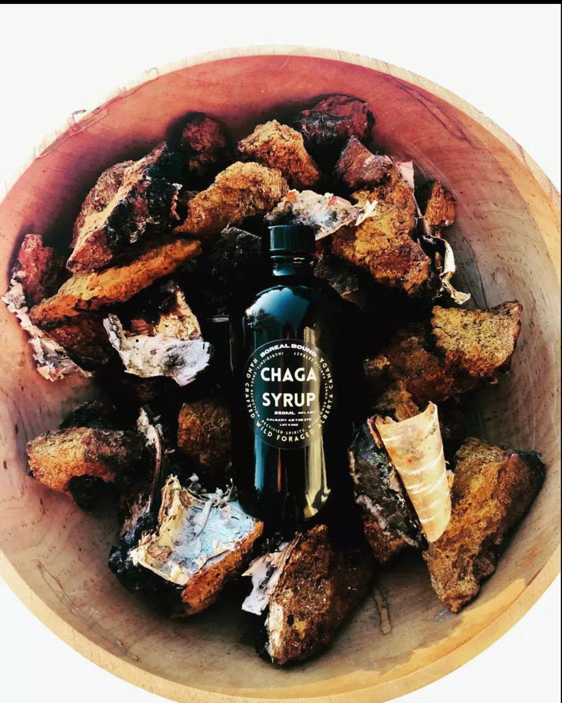 Boreal Bound Chaga Syrup