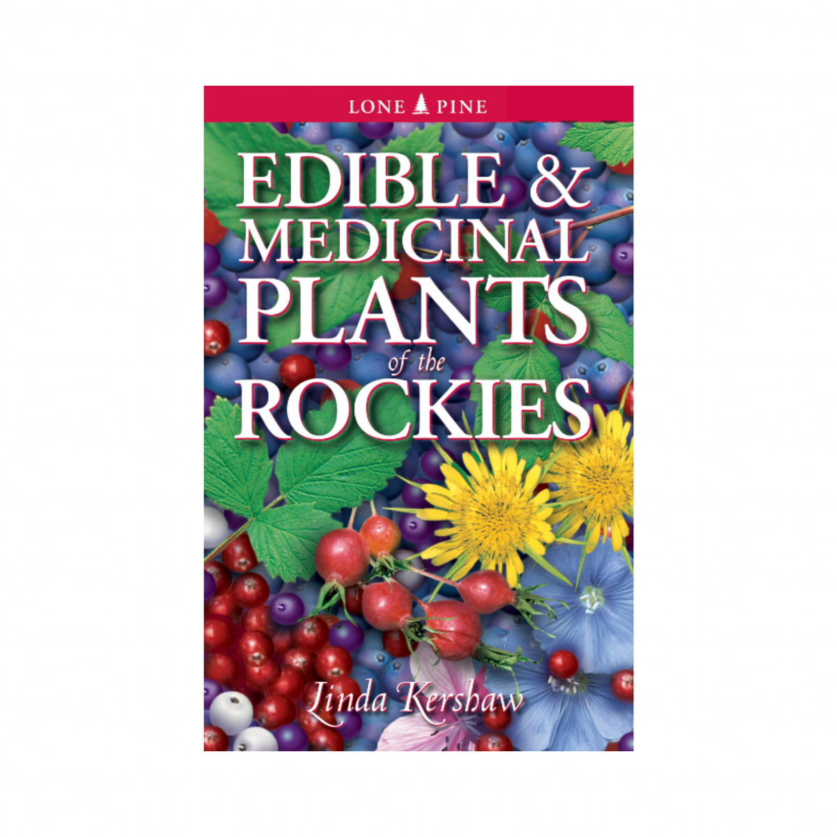 Edible & Medicinal plants of the Rockies by Linda Kershaw
