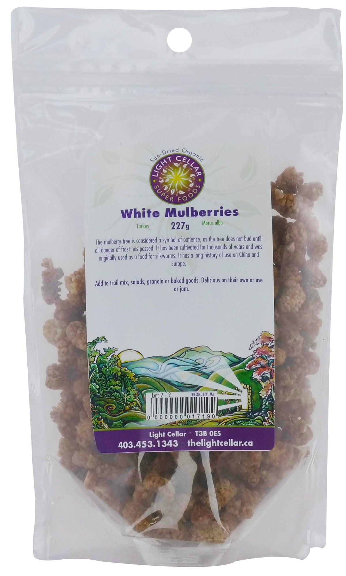 White Mulberries