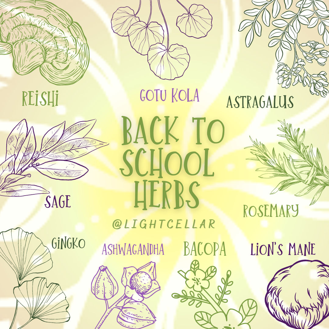 Back To School Herbs