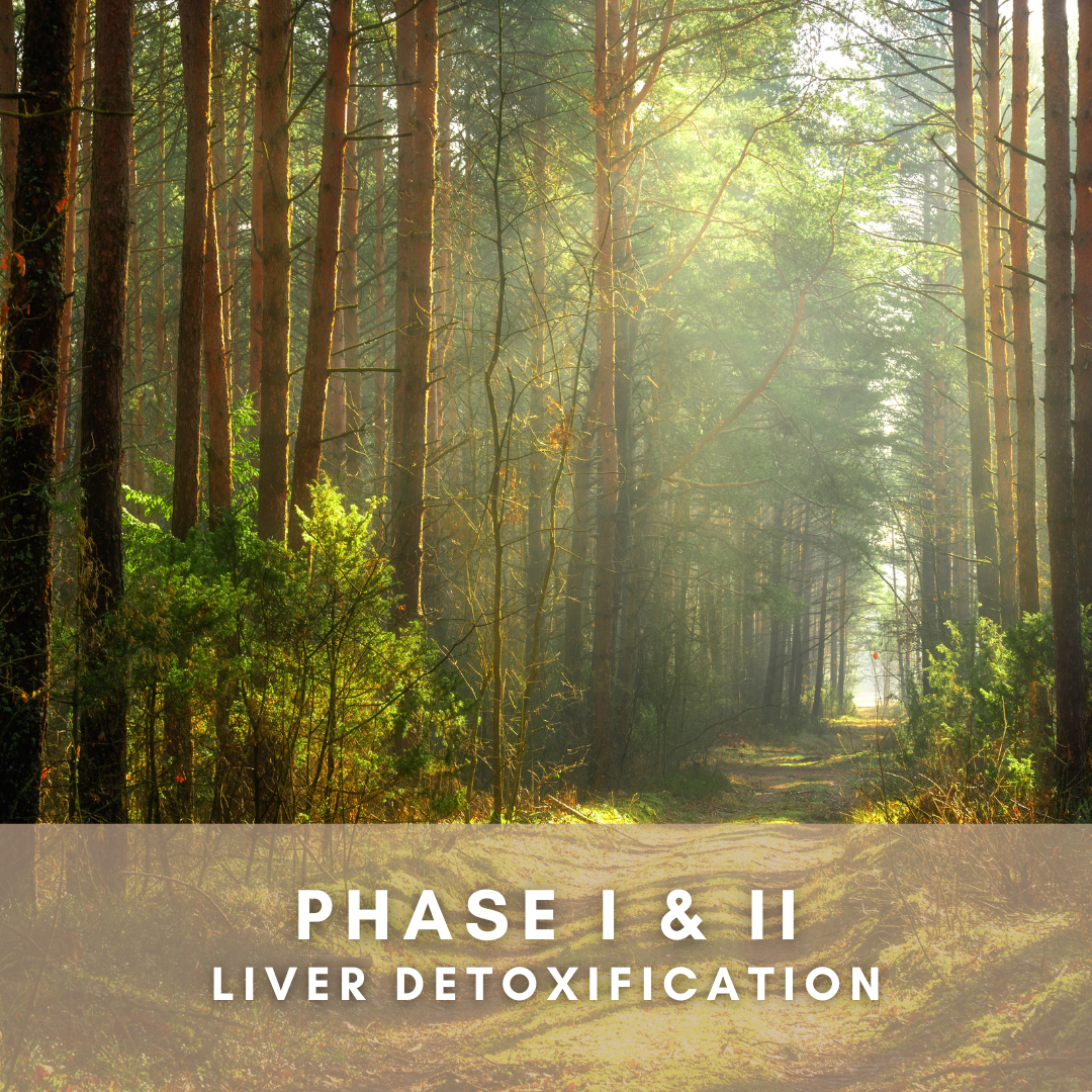 Phase I & II Liver Detoxification