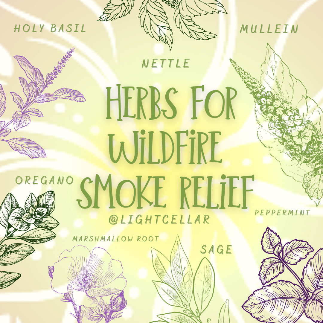 Herbal Remedies For Wild Fire Smoke Relief