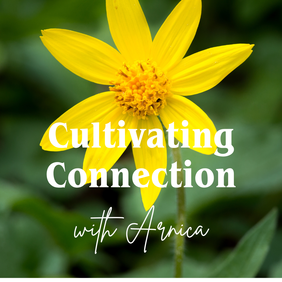 Cultivating Connection with Arnica