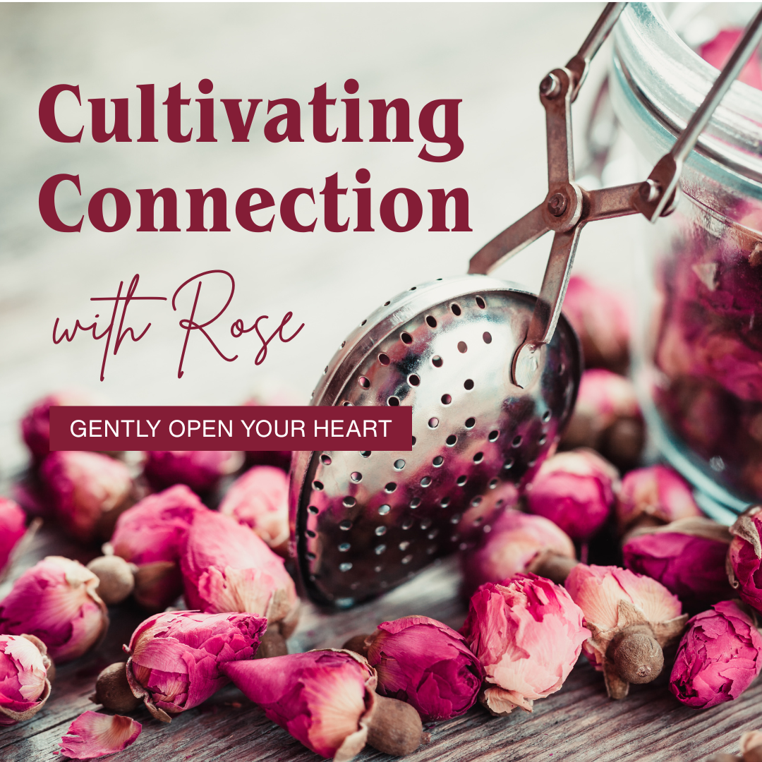 Cultivating Connection with Rose