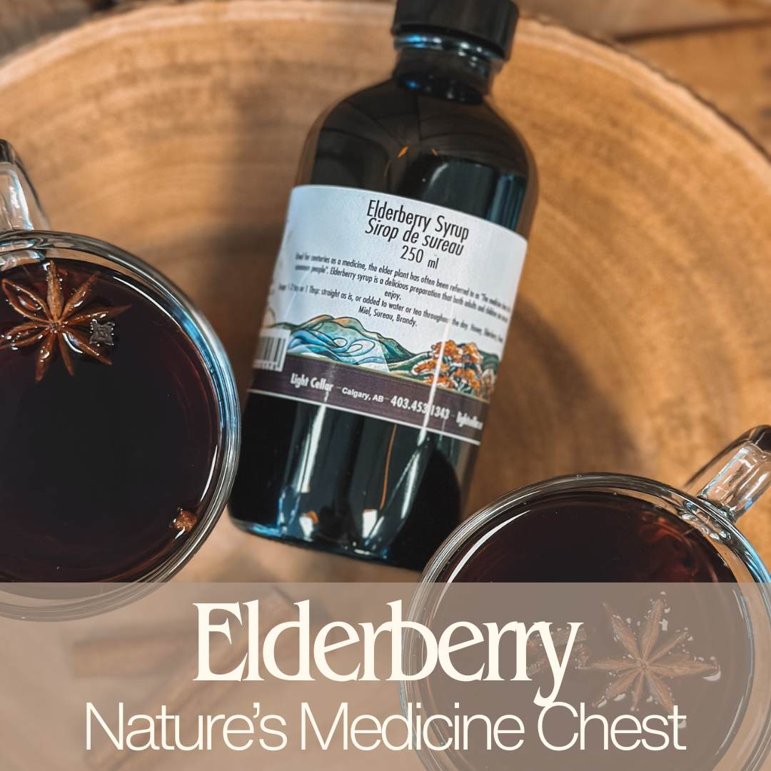 Elderberry: Nature’s Medicine Chest