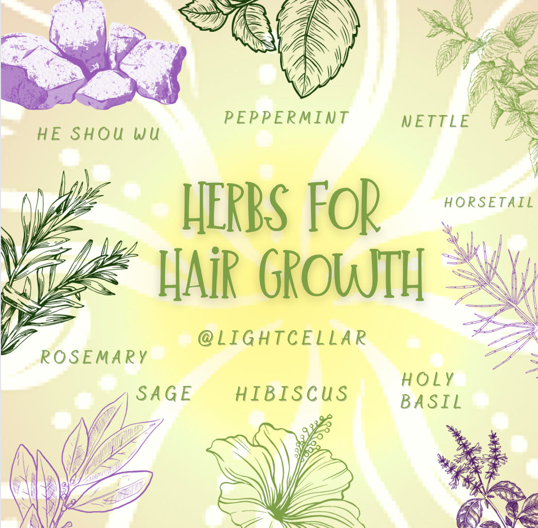 Herbs To Encourage Hair Growth
