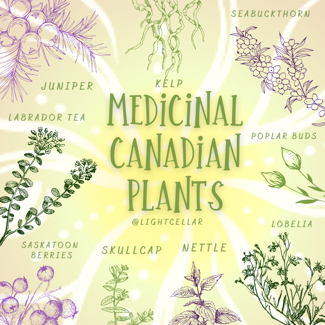 Medicinal Canadian Plants