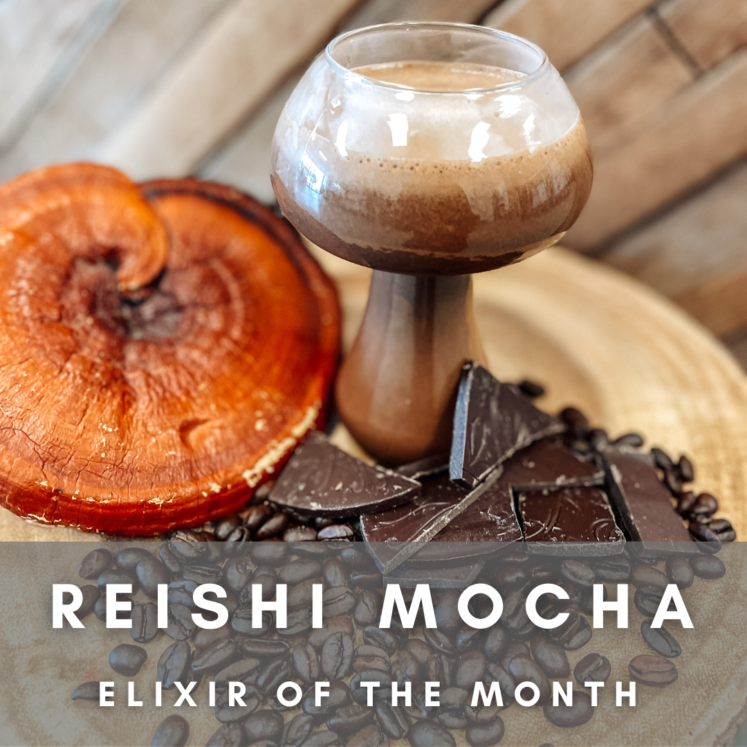 Reishi Mocha Elixir Of The Month