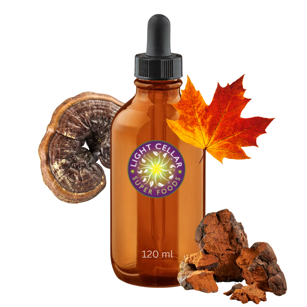 Chaga Reishi Syrup