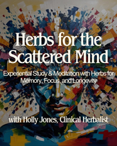 Herbs for the Scattered Mind: Memory, Focus, and Longevity with Holly Jones - May 10