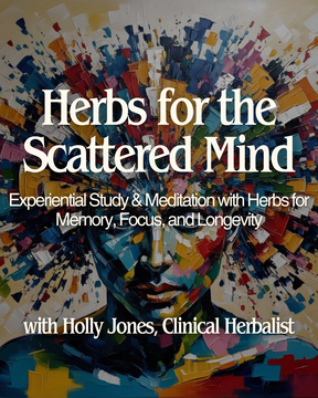 Herbs for the Scattered Mind: Memory, Focus, and Longevity with Holly Jones - May 10