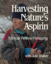Harvesting Nature's Aspirin