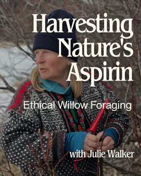 Harvesting Nature's Aspirin