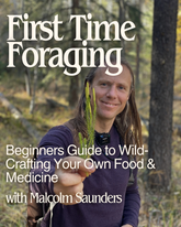 First Time Foraging: Beginners Guide to Wild-Crafting Your Own Food & Medicine - TBA Summer 2025