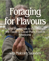 Foraging for Flavours: A Wild Plant Walk, Tasting & Harvesting - TBA Spring & Summer 2025