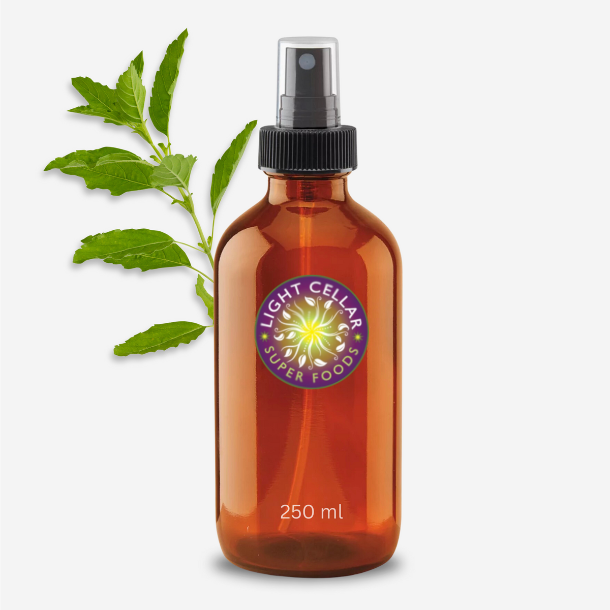 Holy Basil (Rama) Hydrosol