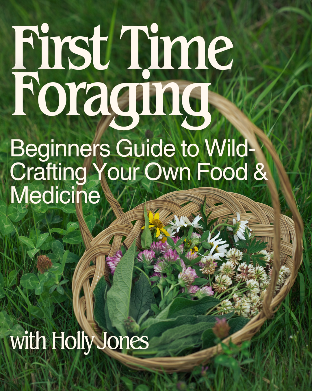 First Time Foraging: Beginners Guide to Wild-Crafting Your Own Food & Medicine - July 3 South location