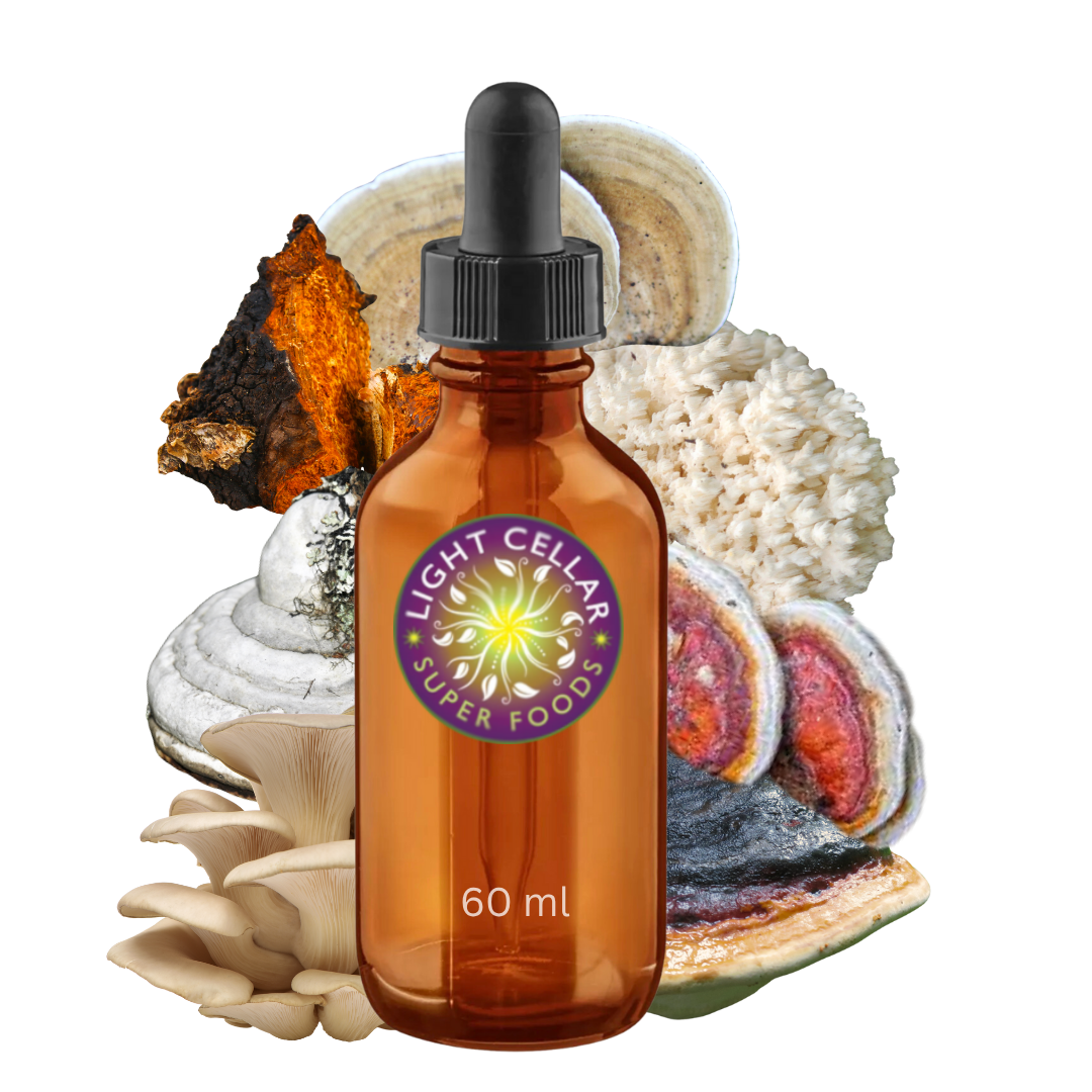 Medicinal Mushrooms of Alberta tincture