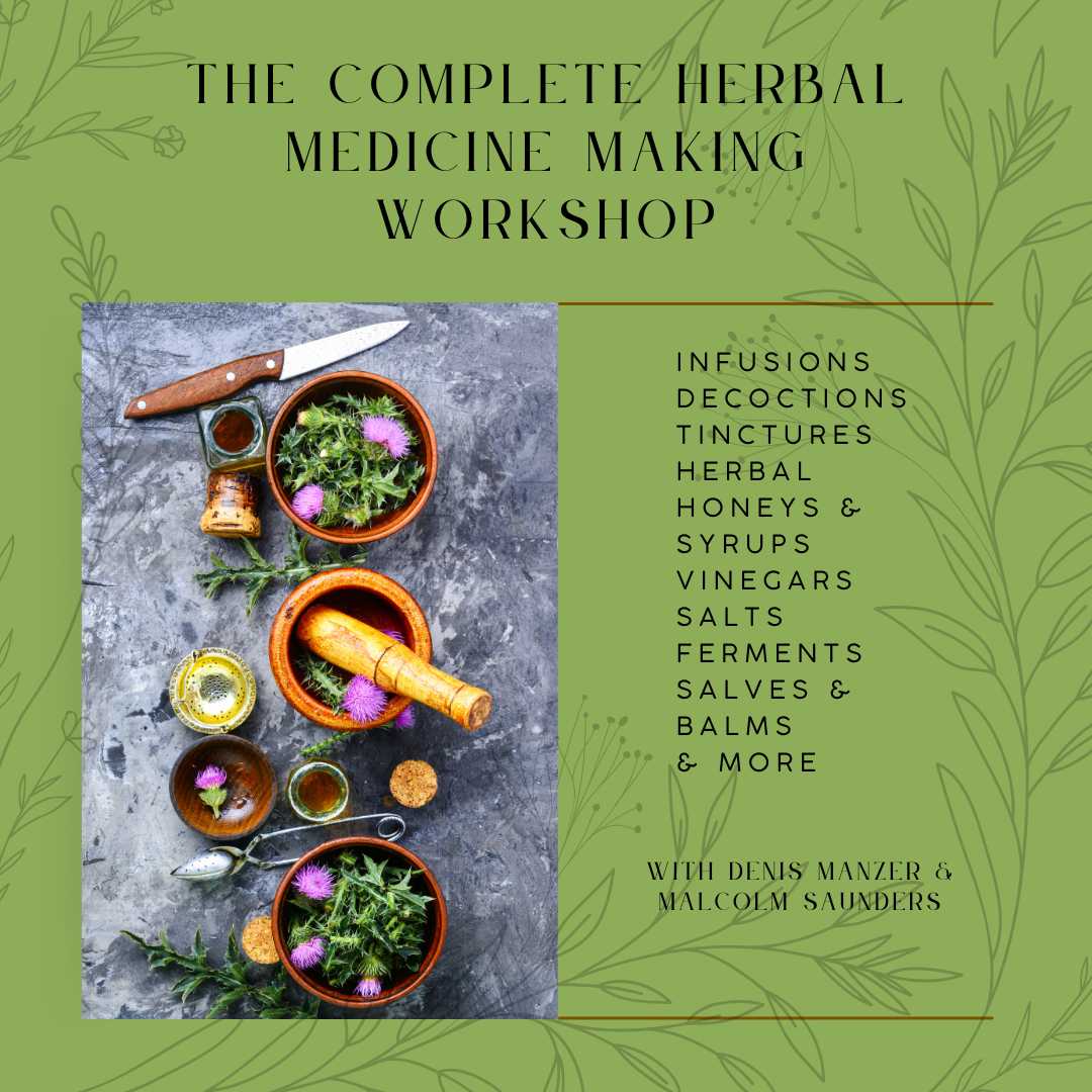 The Complete Herbal Medicine Making Workshop - Recorded