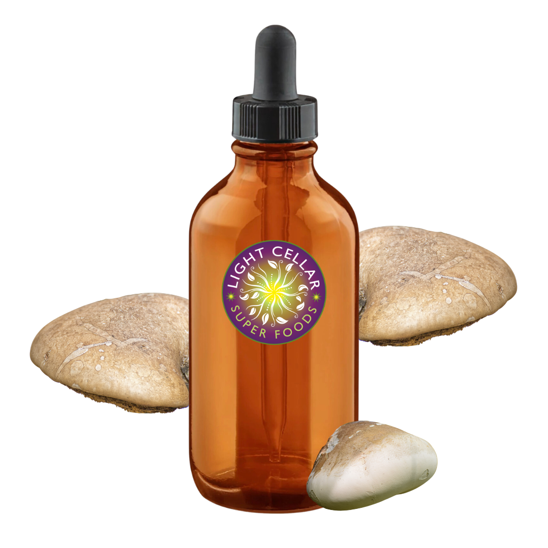 Birch Polypore Tincture