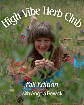 High Vibe Herb Club ~ Fall Edition