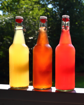 Be Your Own Soda Maker - June 10